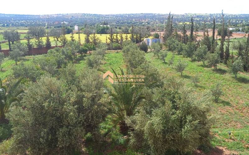 Maison Hamid Ounagha (6)